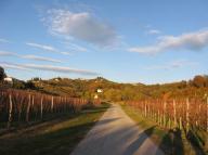 Jezus je dejal: „Jaz sem pot, resnica in življenje. Nihče ne pride k Očetu drugače kot po meni.“     Evangelij po Janezu 14,6