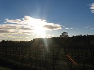 Kliči me in ti bom odgovoril.  Jeremija 33,3   Kajti vsak, kdor prosi, prejme; in kdor išče, najde; in kdor trka, se mu bo odprlo.  Evangelij po Mateju 7,8